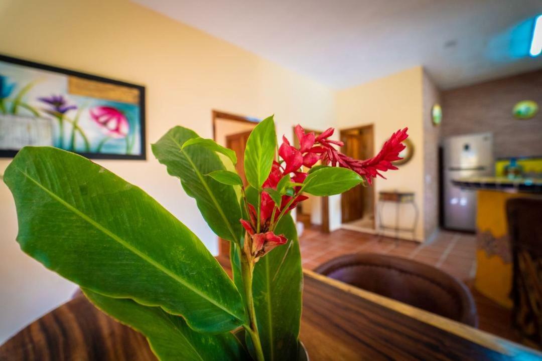 Villa Casa Palmito Cerca De La Playa Yelapa Exterior foto